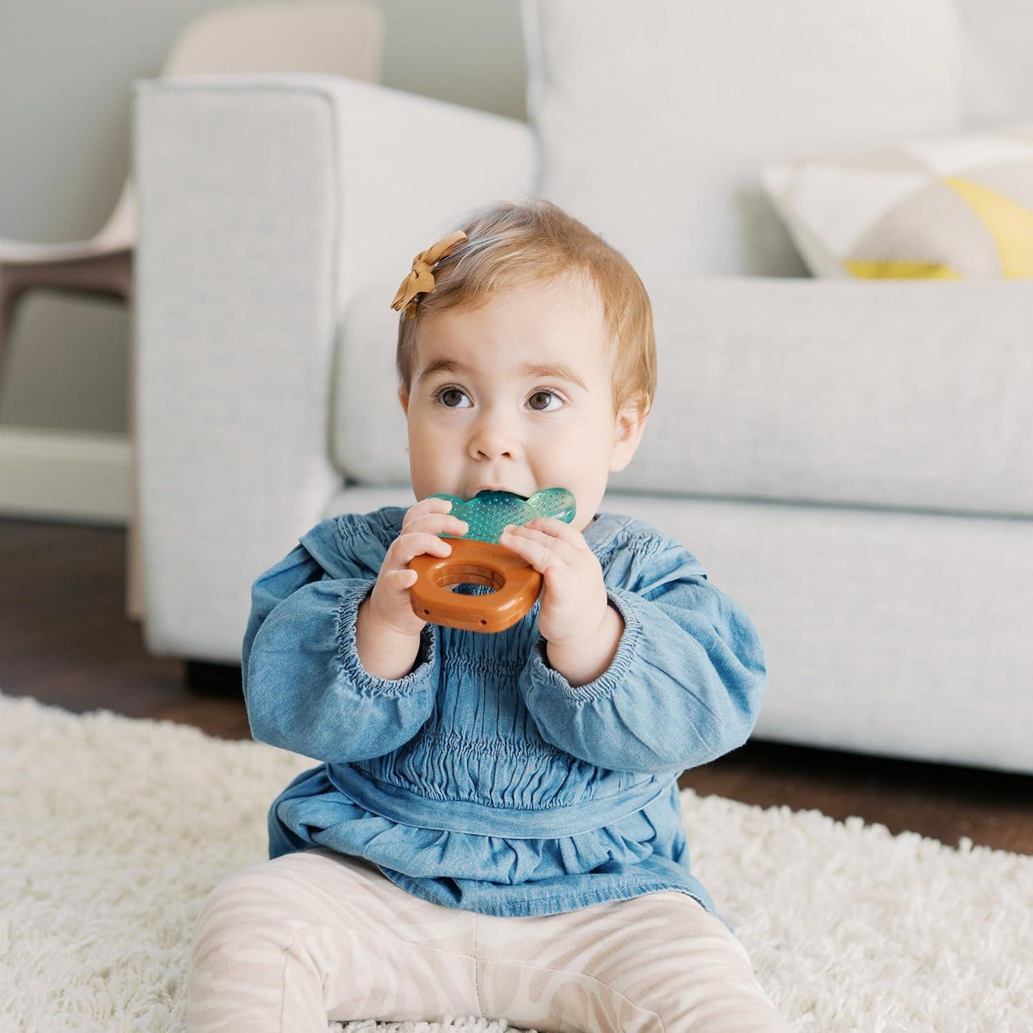 image:imageDr Browns AquaCool WaterFilled Teether Cooling Baby Teether Toy for Sore Gums Green Cactus BPAFree 3m 2PackHouse Plants