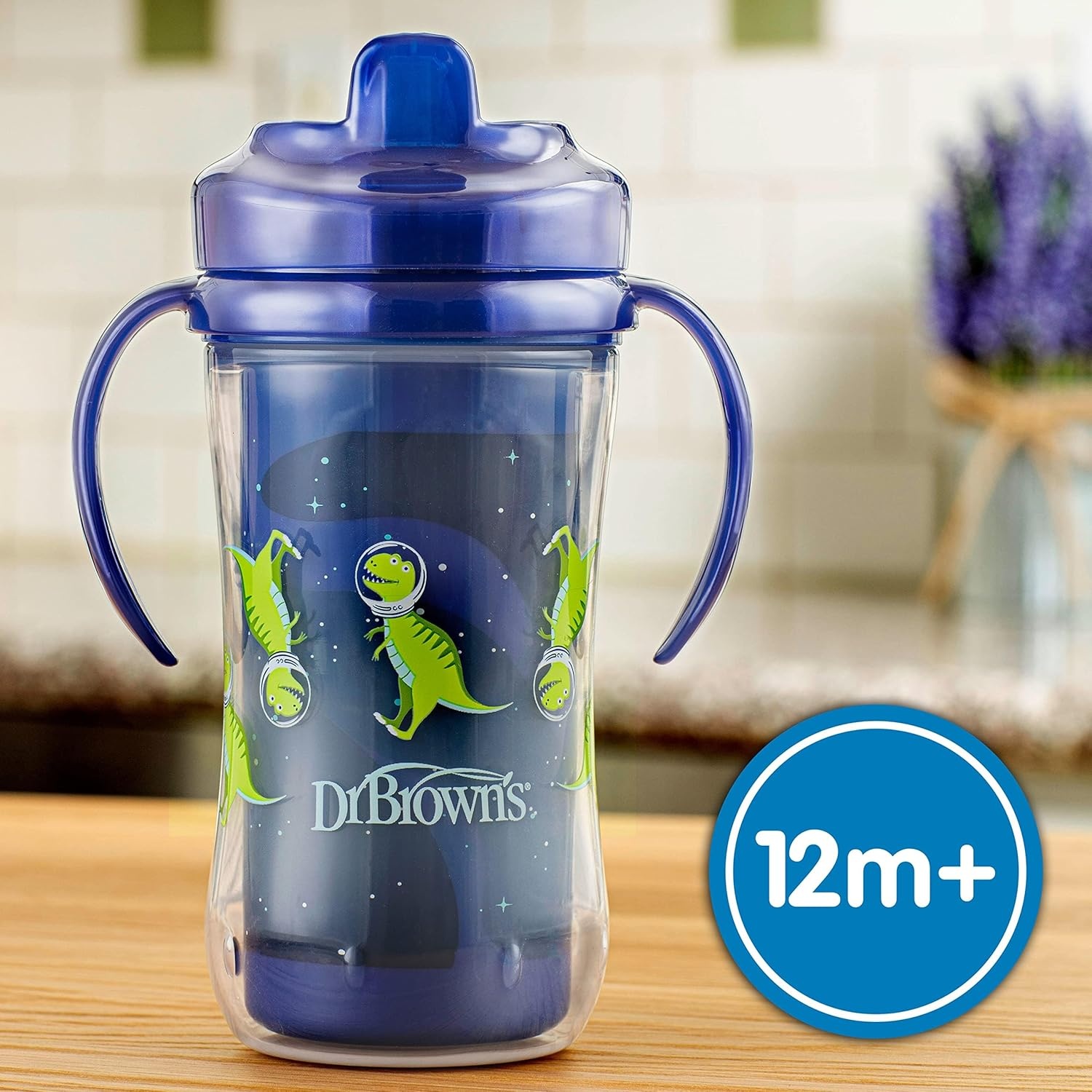 image:imageDr Browns Milestones Insulated Hard Spout Sippy Spill Proof Cup with Handles for Toddlers 2Pack Pink 10 oz300 mL BPA Free 12m2Pack Sunglasses Cactus Astro Dino