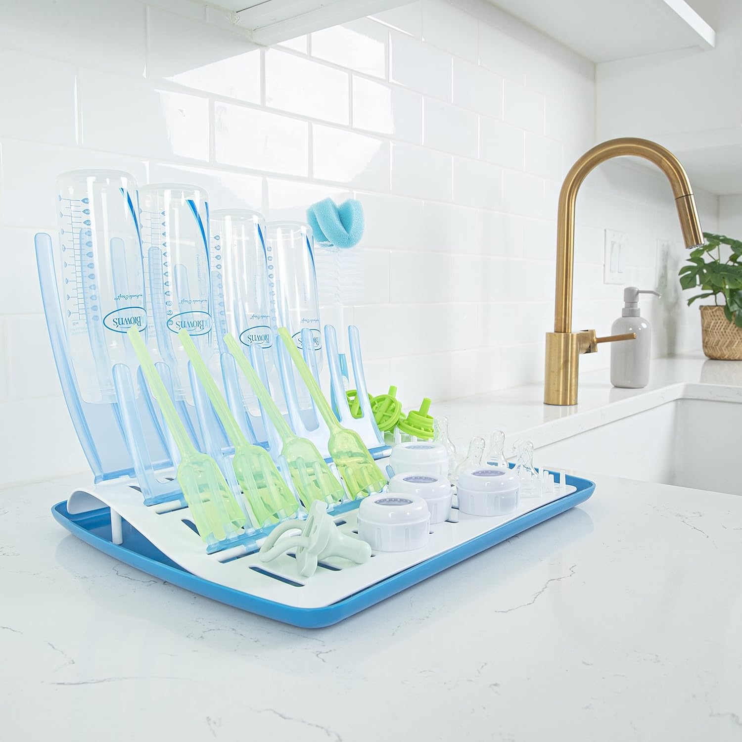 image:imageDr Browns Reusable Sponge Baby Bottle Cleaning Brush with Suction Cup Stand Scrubber and Nipple Cleaner Pink 1PackBlue Bottle Brush Drying Rack